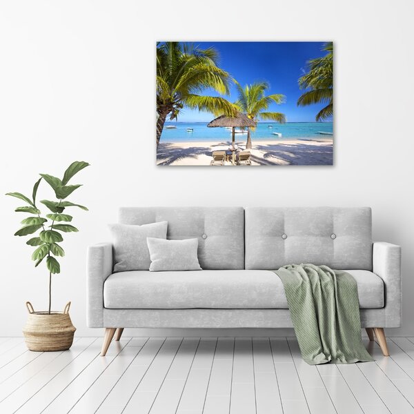 Foto obraz na plátně do obýváku Pláž Mauritius oc-89713117