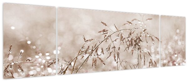 Obraz - Louka v hnědých tónech (170x50 cm)