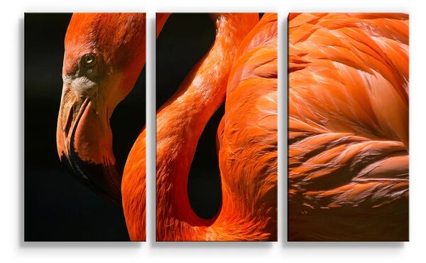 Sablio Obraz - 3-dílný Plameňák - 120x80 cm