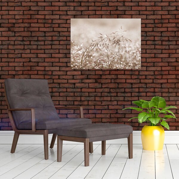 Obraz - Louka v hnědých tónech (70x50 cm)