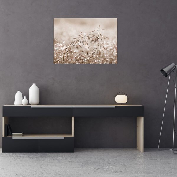 Obraz - Louka v hnědých tónech (70x50 cm)