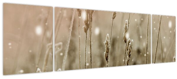 Obraz - Harmonická louka (170x50 cm)