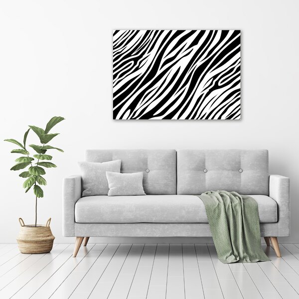 Foto obraz canvas Zebra pozadí oc-89914611