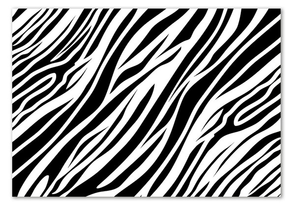 Foto obraz sklo tvrzené Zebra pozadí osh-89914611