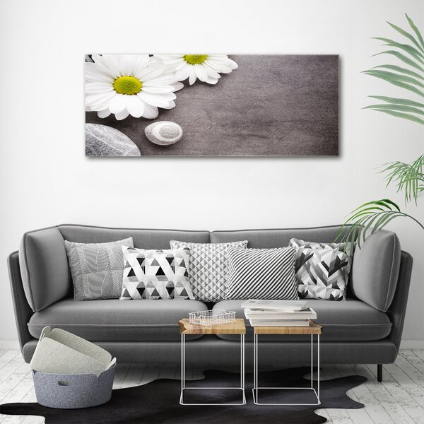 Foto obraz na plátně Gerbera oc-89978317