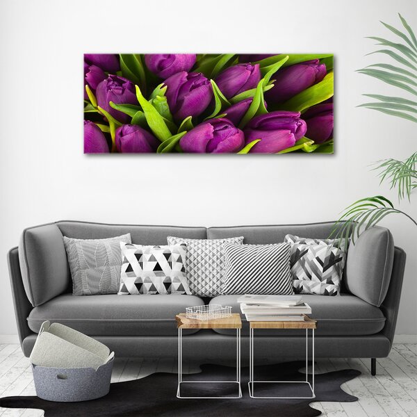 Foto obraz na plátně Fialové tulipány oc-89975331