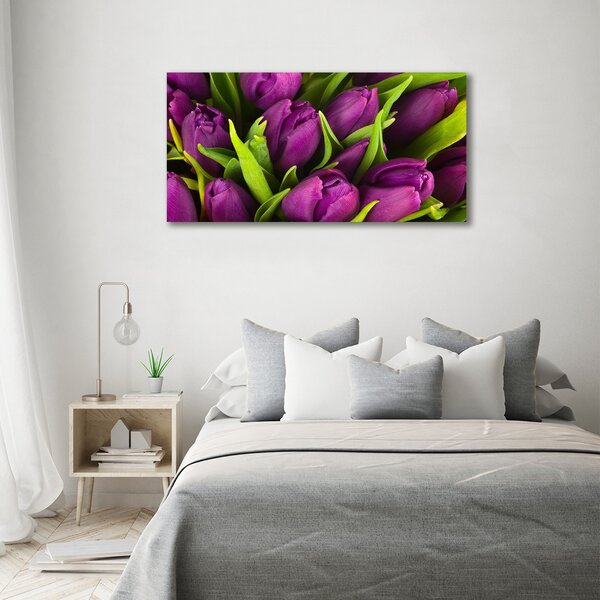 Foto obraz na plátně Fialové tulipány oc-89975331