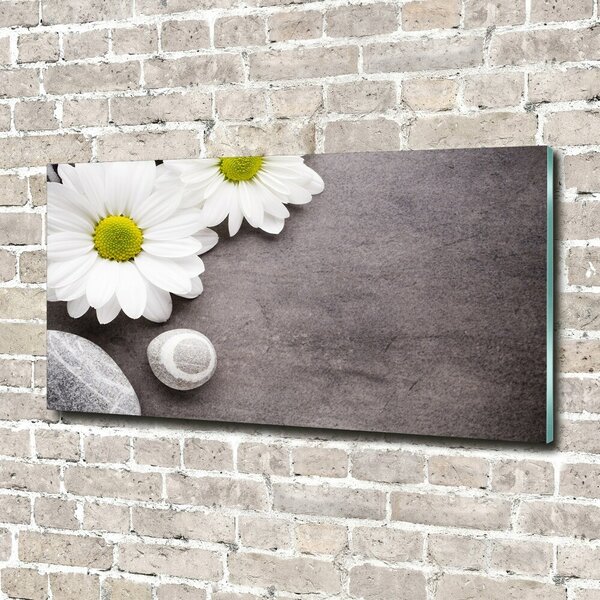 Foto obraz fotografie na skle Gerbera osh-89978317