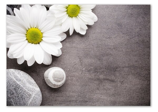 Foto obraz fotografie na skle Gerbera osh-89978317