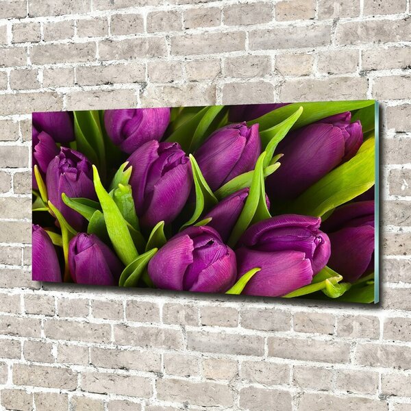 Fotoobraz na skle Fialové tulipány osh-89975331
