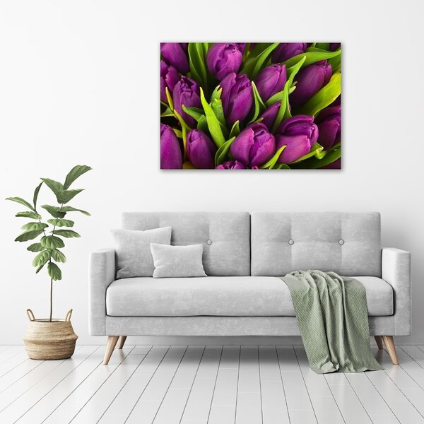 Foto obraz na plátně Fialové tulipány oc-89975331