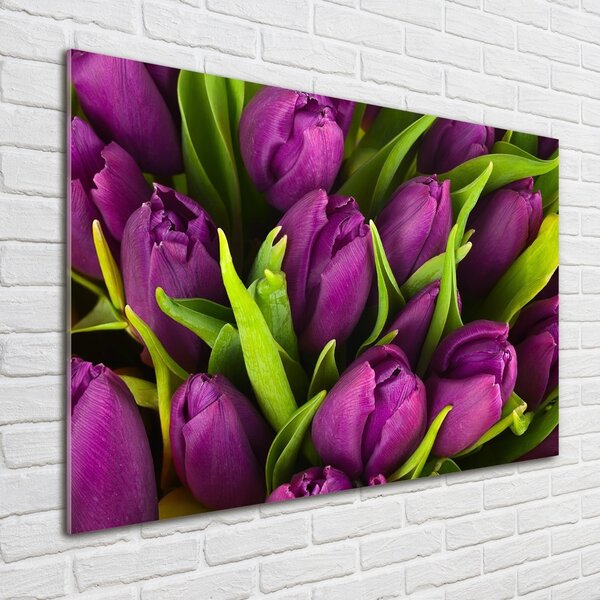 Fotoobraz na skle Fialové tulipány osh-89975331
