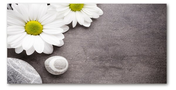 Foto obraz fotografie na skle Gerbera osh-89978317