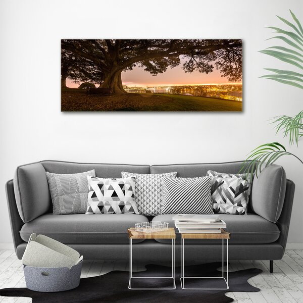 Foto obraz canvas Starý strom oc-90219521