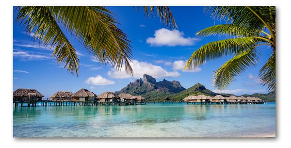 Foto obraz sklo tvrzené Palmy na Bora Bora osh-90274909