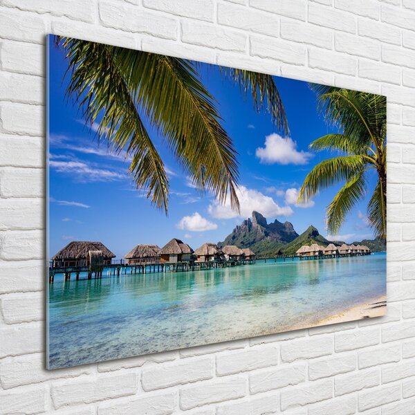 Foto obraz sklo tvrzené Palmy na Bora Bora osh-90274909