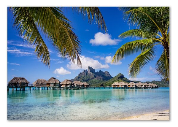 Foto obraz sklo tvrzené Palmy na Bora Bora osh-90274909