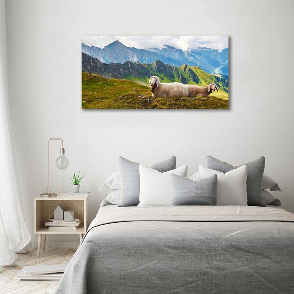 Moderní obraz canvas na rámu Ovce v Alpách oc-90327187