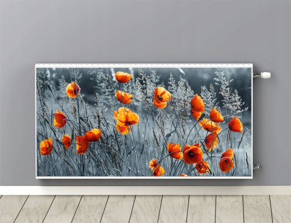 Magnetická rohož Kryt topení Ozdobný kryt na radiátory 60x100