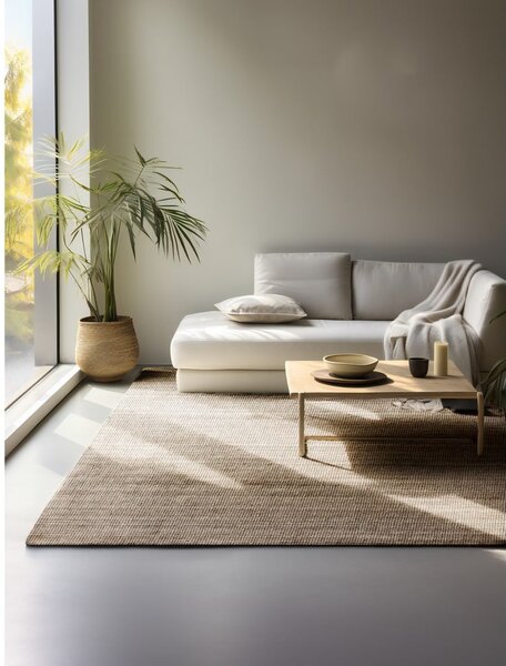 Béžový jutový koberec 160x230 cm Bouclé – Hanse Home