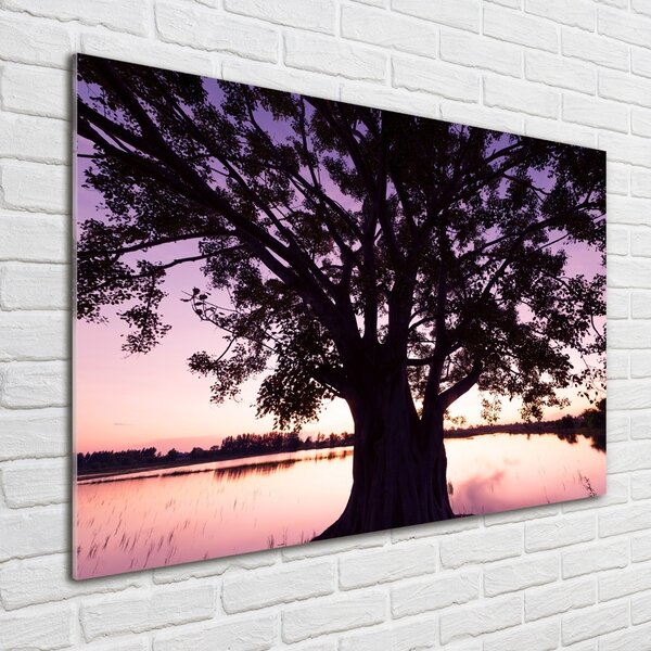 Foto-obraz fotografie na skle Stromy a jezero osh-90878216