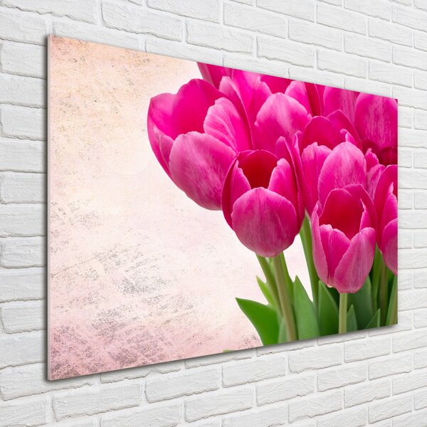 Foto-obraz fotografie na skle Růžové tulipány osh-90952565