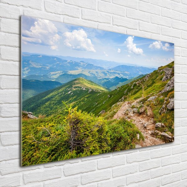 Foto obraz fotografie na skle Zelené pahorky osh-91008268