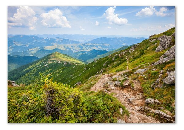 Foto obraz fotografie na skle Zelené pahorky osh-91008268