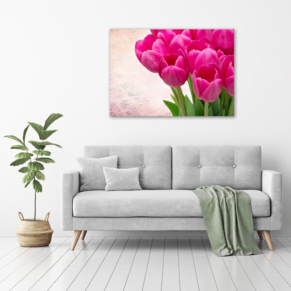 Foto-obraz fotografie na skle Růžové tulipány osh-90952565