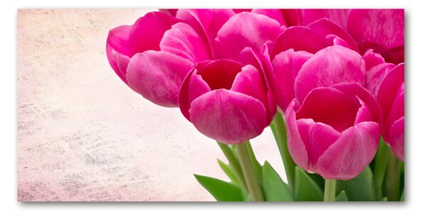 Foto-obraz fotografie na skle Růžové tulipány osh-90952565