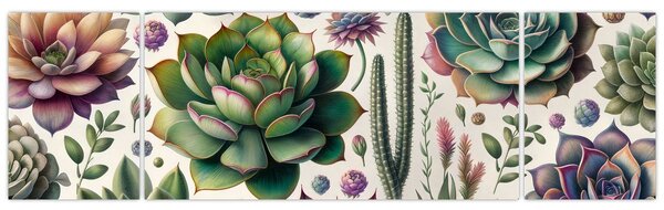 Obraz - Sukulenty (170x50 cm)