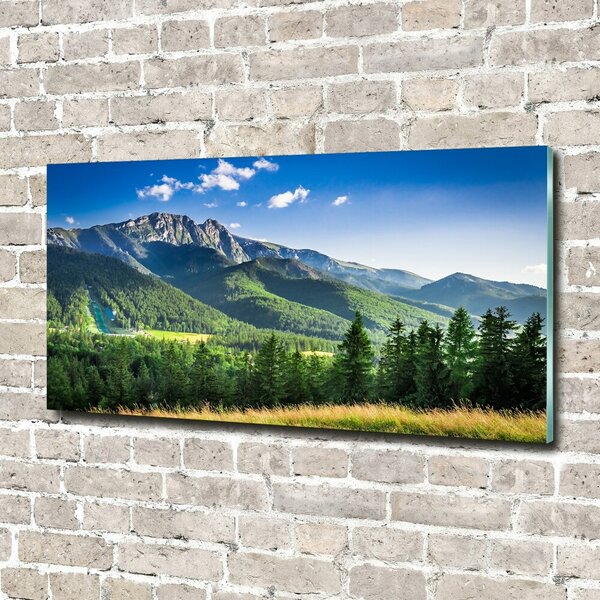 Foto obraz fotografie na skle Skokanský můstek Tatry osh-91165762