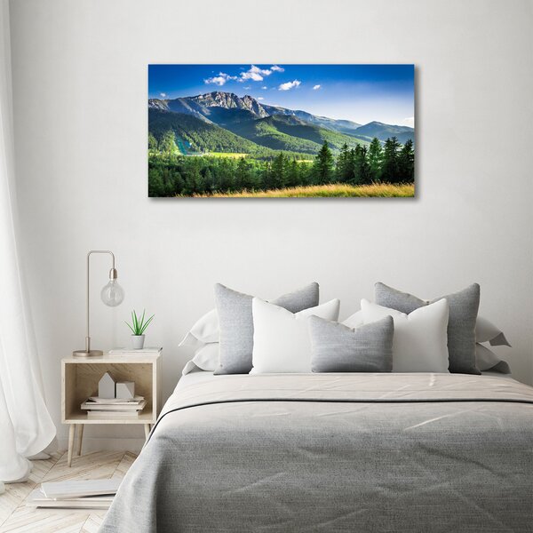 Foto obraz na plátně Skokanský můstek Tatry oc-91165762