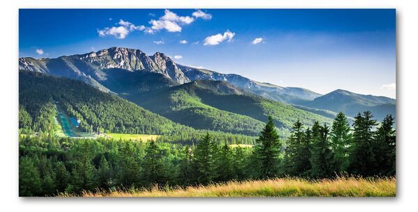 Foto obraz fotografie na skle Skokanský můstek Tatry osh-91165762
