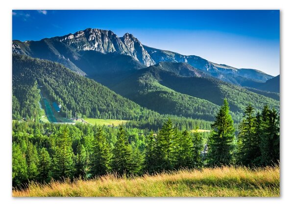 Foto-obraz fotografie na skle Skokanský můstek Tatry osh-91165777