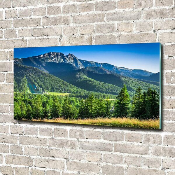 Foto-obraz fotografie na skle Skokanský můstek Tatry osh-91165777