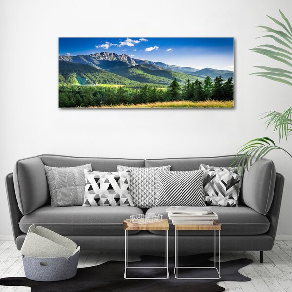 Foto obraz na plátně Skokanský můstek Tatry oc-91165762