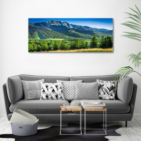 Moderní obraz canvas na rámu Skokanský můstek Tatry oc-91165777