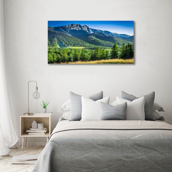 Moderní obraz canvas na rámu Skokanský můstek Tatry oc-91165777