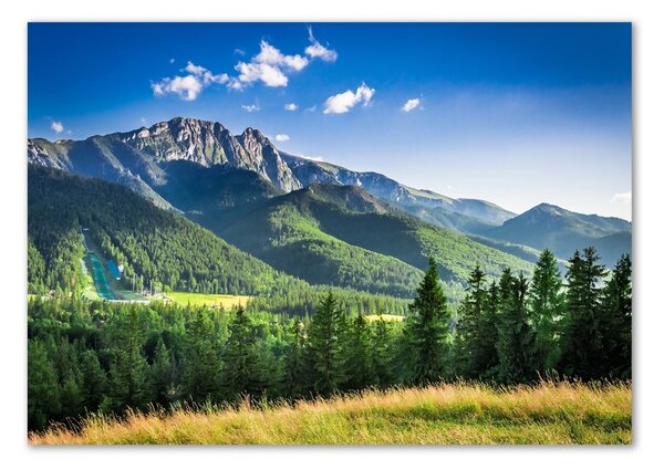 Foto obraz fotografie na skle Skokanský můstek Tatry osh-91165762