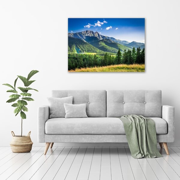 Foto obraz na plátně Skokanský můstek Tatry oc-91165762