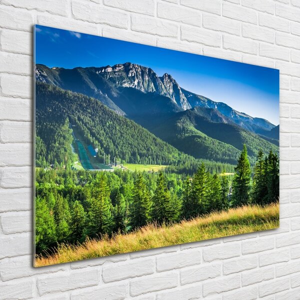 Foto-obraz fotografie na skle Skokanský můstek Tatry osh-91165777