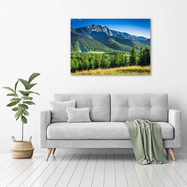 Moderní obraz canvas na rámu Skokanský můstek Tatry oc-91165777