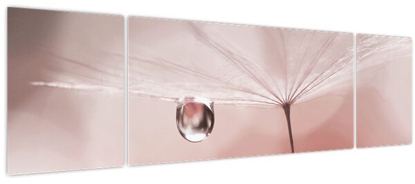 Obraz - Kapka rosy (170x50 cm)