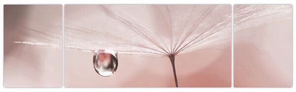 Obraz - Kapka rosy (170x50 cm)