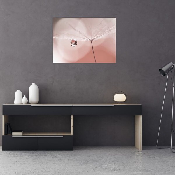 Obraz - Kapka rosy (70x50 cm)