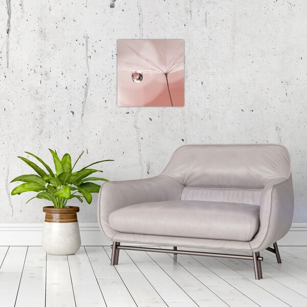 Obraz - Kapka rosy (30x30 cm)