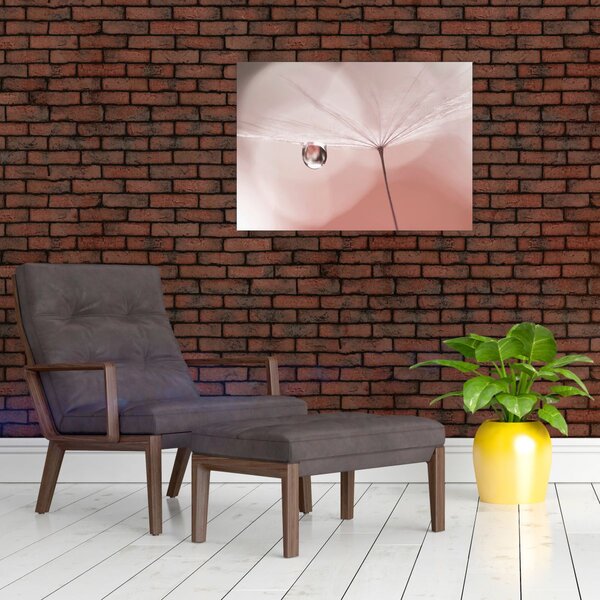 Obraz - Kapka rosy (70x50 cm)