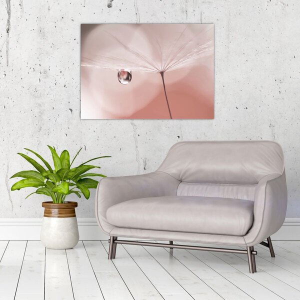Obraz - Kapka rosy (70x50 cm)
