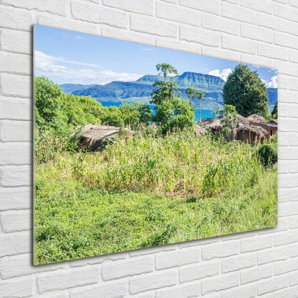 Moderní skleněný obraz z fotografie Jezero Malavi osh-91343567